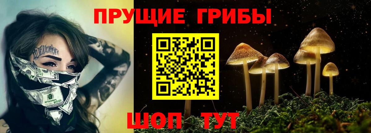 Псилоцибиновые грибы мицелий Луховицы